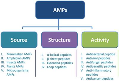 Antimicrobial Peptides: Bringing Solution to the Rising Threats of Antimicrobial Resistance in Livestock